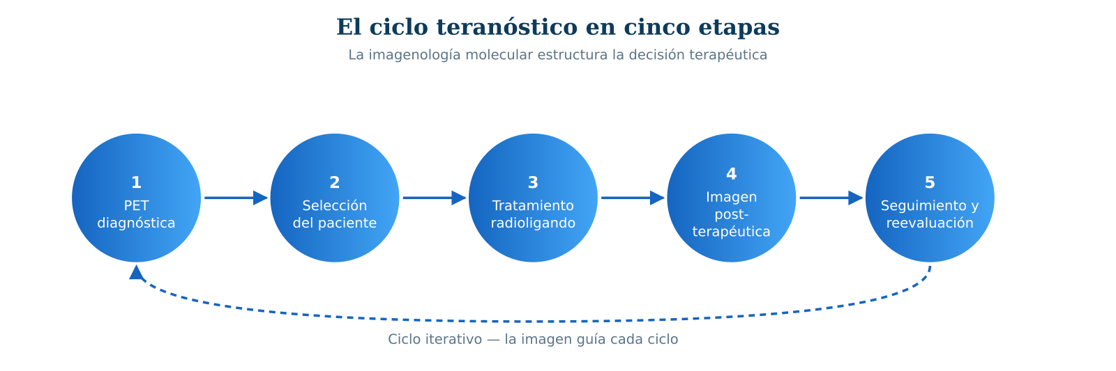 Figura 2 &mdash; El ciclo teran&oacute;stico: selecci&oacute;n por imagen, tratamiento y verificaci&oacute;n posterap&eacute;utica.