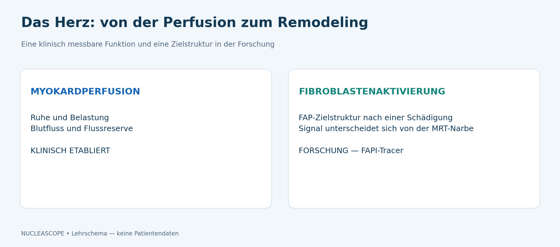 Die PET kann eine bereits klinisch messbare Funktion oder einen noch in Validierung befindlichen Gewebemechanismus untersuchen.