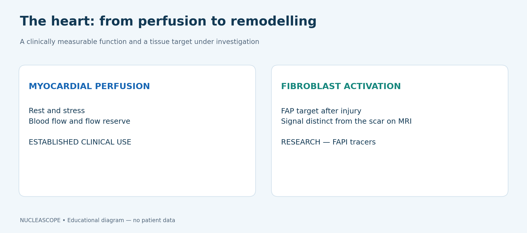 PET can investigate a function already measurable in clinical practice or a tissue mechanism that is still undergoing validation.